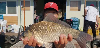 [고삼지]4짜들이 올라오기 시작합니다