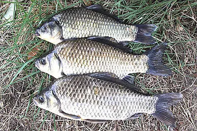 6월 중순의 경산권 소식 입니다.