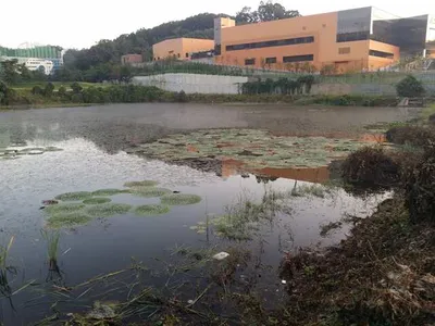 [안성권소류지] 낚시여건 아주 좋습니다