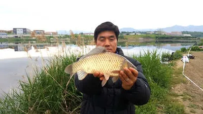 5월 중순-징금다리 연휴를 앞두고...