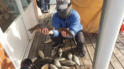 [고삼지] 좌대와 노지조황