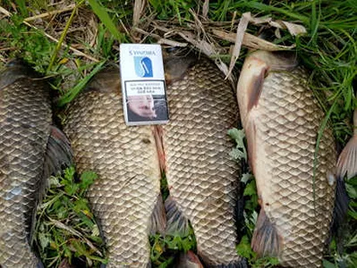 두번째 주말-청도권 둘러보기