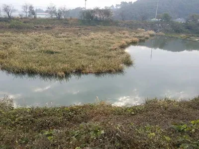 [청미천] 낚시할 곳 무진장입니다