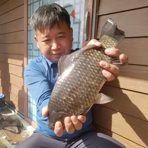 [송전지] 마릿수에서 4짜급까지