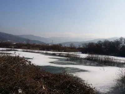 [고삼지] 결빙이 시작되었습니다