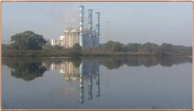 진위천 조황 소식