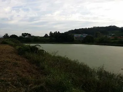 [안성권] 무명지의 낚시여건은?