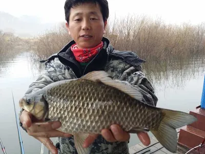 [고삼지] 좋은 조황입니다