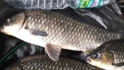 연휴 잘 지내셨나요.^^