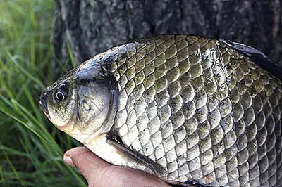 태풍 콩레이 에 철저히 대비 합시다.