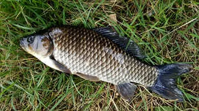 가을의 절정-연휴뒤 시즌의 시작