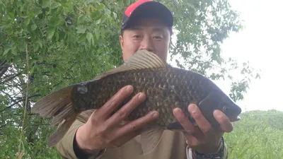 의성권 계곡지에서도 4짜와 대물들......