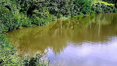 9월을 맞으며-가을을 재촉하는 비