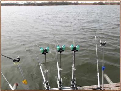 진위천 조황 소식