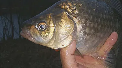 가을 시즌을 마감 하면서.....