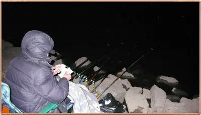 진위천 조황 소식