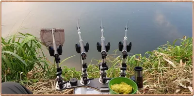 진위천 호조황 이어지네요.