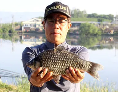 화려한 계절 5월의 붕어 소식 입니다.