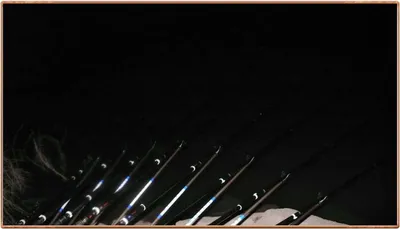 진위천 조황 소식