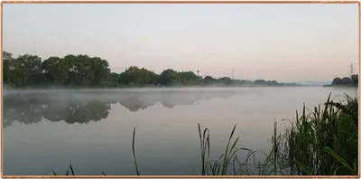 진위천 조황 소식