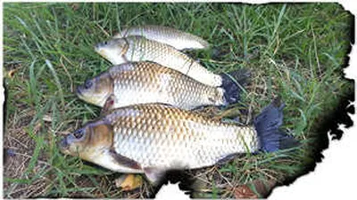 시월의 마지막 주에.....