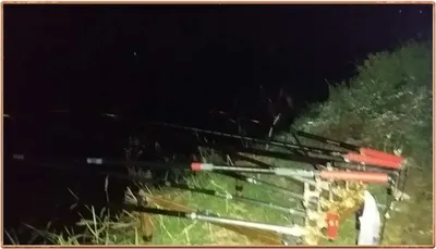 진위천 옛 조황 으로 돌아 왔네.