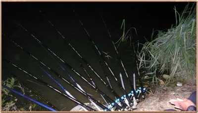 진위천 조황 소식