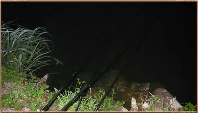 진위천 그림입니다,