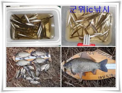 빙어 물낚시와 막바지 붕어낚시 ~~