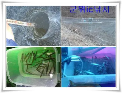 빙어얼음낚시 시작 ~~