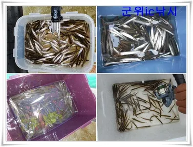 군위 초대박 무료빙어낚시터 발견, 10분거리