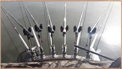 진위천 조황 소식