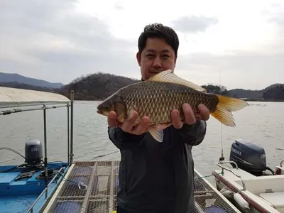 [고삼지]대물들이 슬슬 올라옵니다