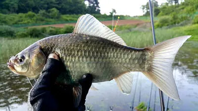 유월-여름낚시의 시작