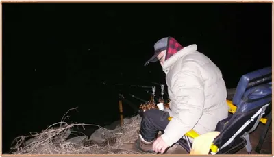 진위천 조황 소식