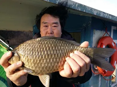 [고삼지] 조황입니다