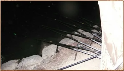 진위천 조황 소식