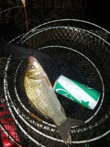 [청미천수로] 꽝은 없습니다