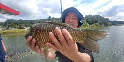 [고삼지] 새우에 올라온 대물들