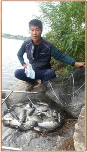 진위천 조황 소식