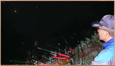 진위천 조황 소식