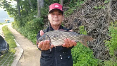 [두창지] 미끼운용이 중요합니다