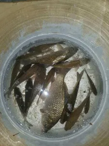 [청미천수로] 괜찮습니다