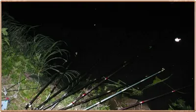 진위천 조황 소식