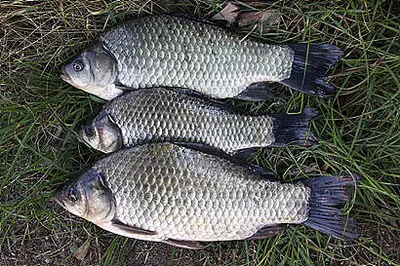 10월 중순의 낚시터 상황입니다.