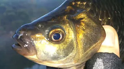 붙들어 두고픈 가을