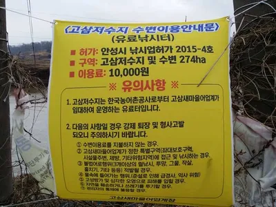 [고삼지] 수상좌대 배치중