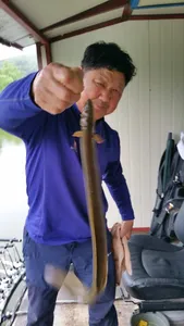 [두창지] 초보님들께 강추합니다