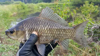 더위의 시작-경산권 저수지 현황