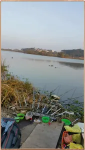 진위천 조황 소식